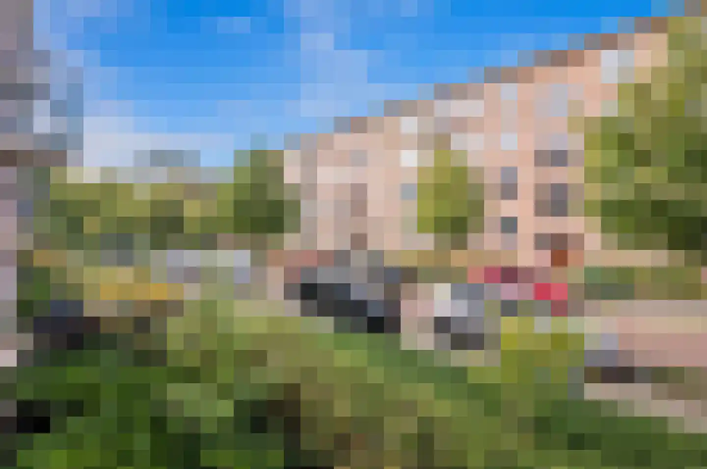 van Dijcklaan 29 Rijswijk thumbnail 16