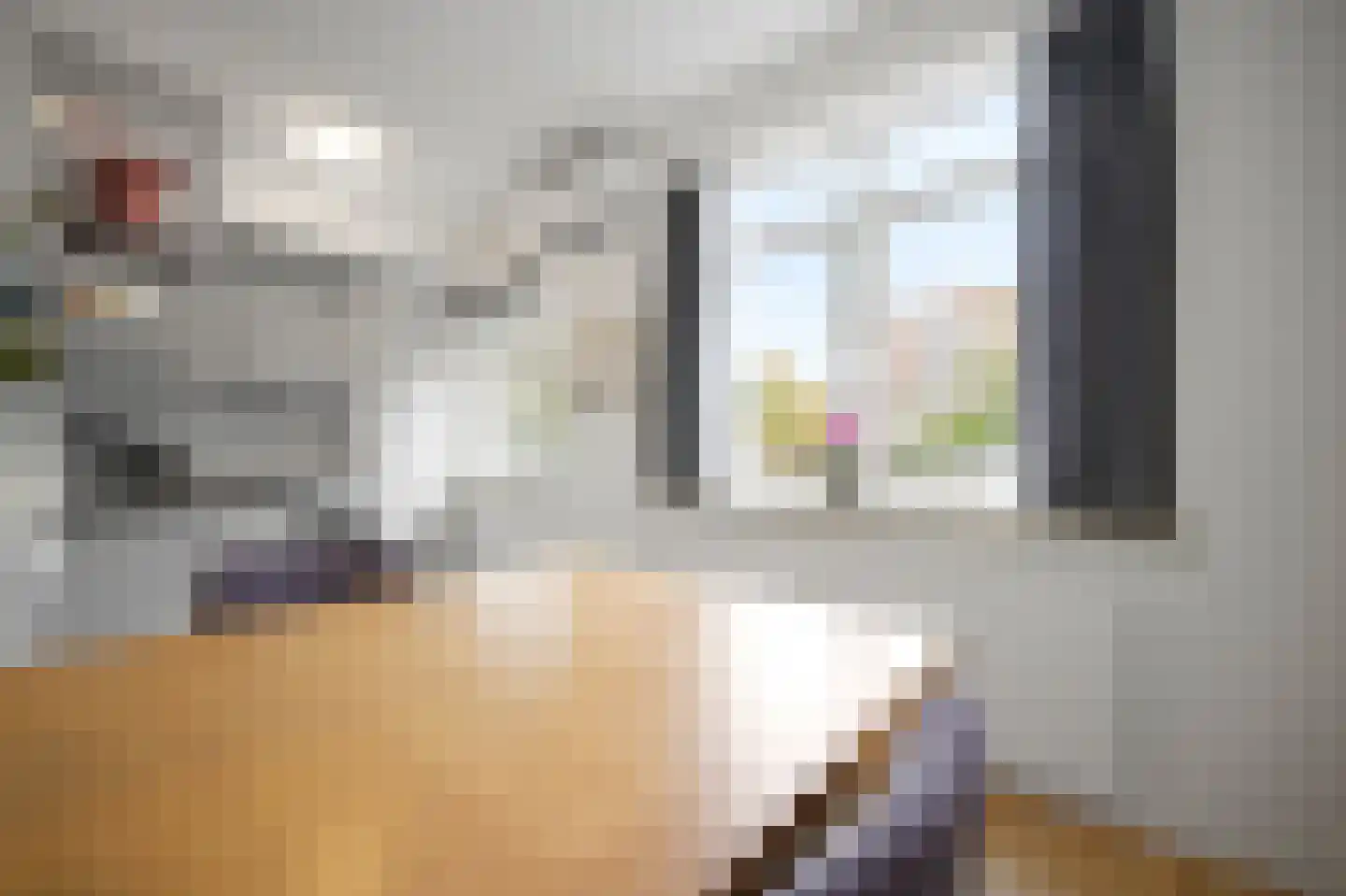 van Dijcklaan 29 Rijswijk thumbnail 20
