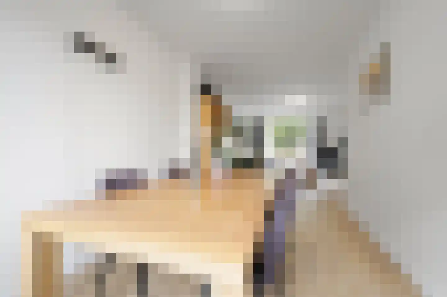 van Dijcklaan 29 Rijswijk thumbnail 21