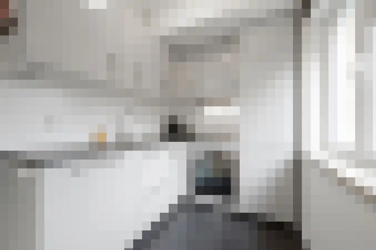 van Dijcklaan 29 Rijswijk thumbnail 22