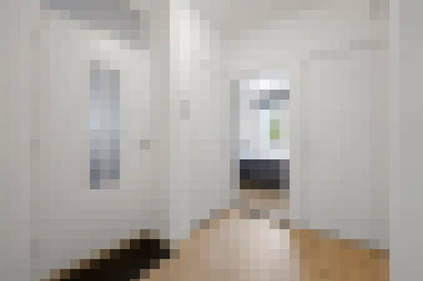 van Dijcklaan 29 Rijswijk thumbnail 26