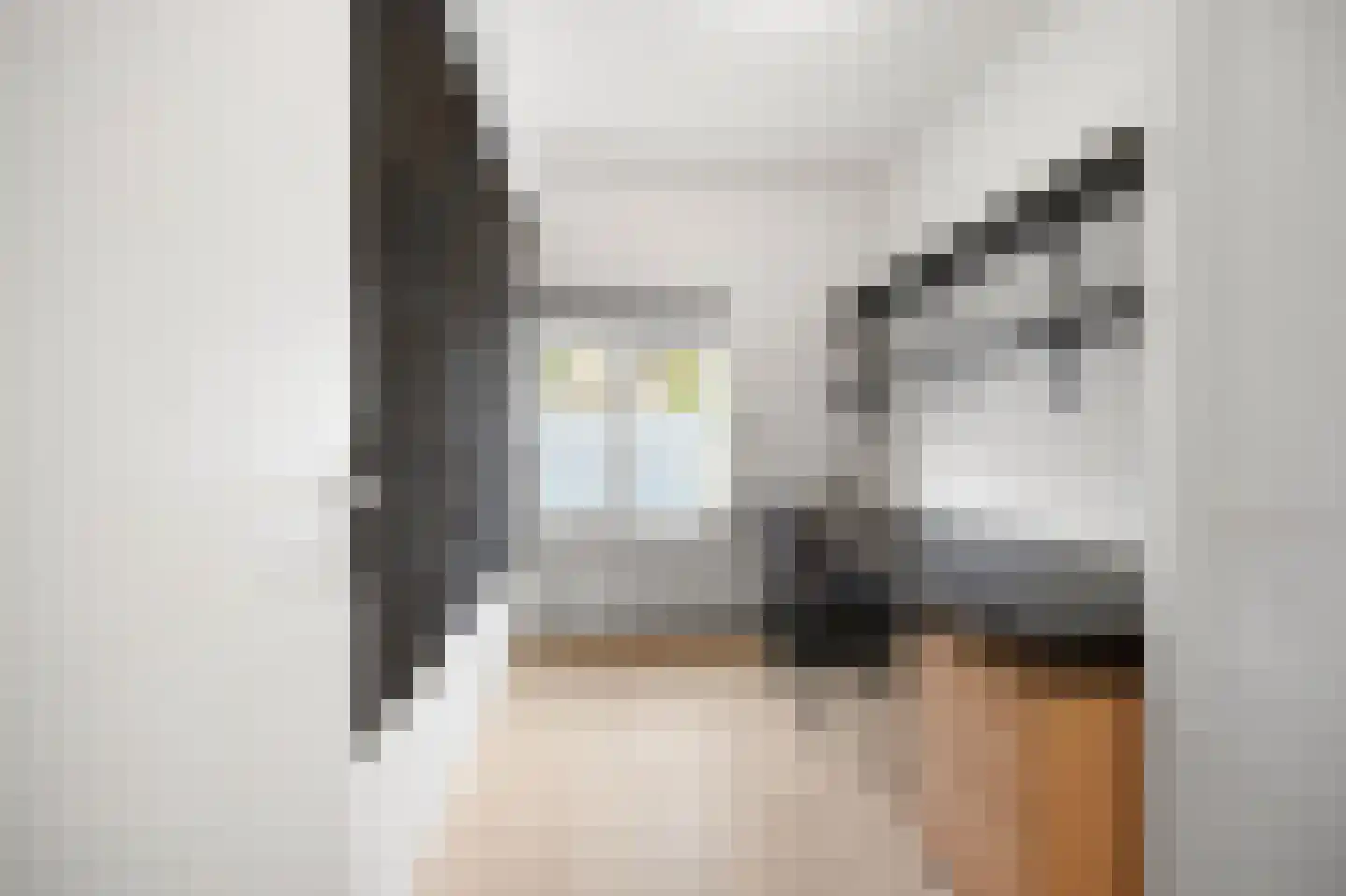 van Dijcklaan 29 Rijswijk thumbnail 27