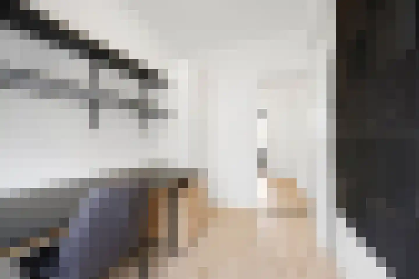 van Dijcklaan 29 Rijswijk thumbnail 28