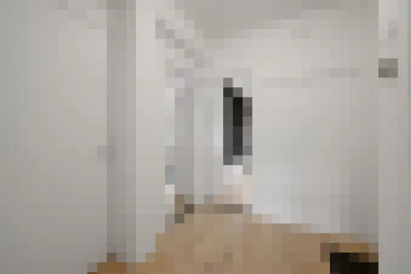 van Dijcklaan 29 Rijswijk thumbnail 31