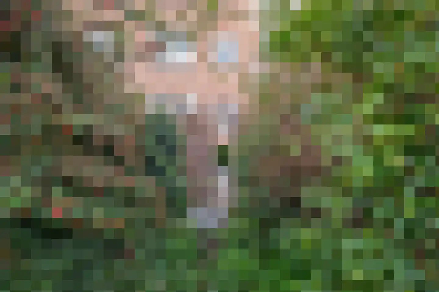 van Dijcklaan 29 Rijswijk thumbnail 37