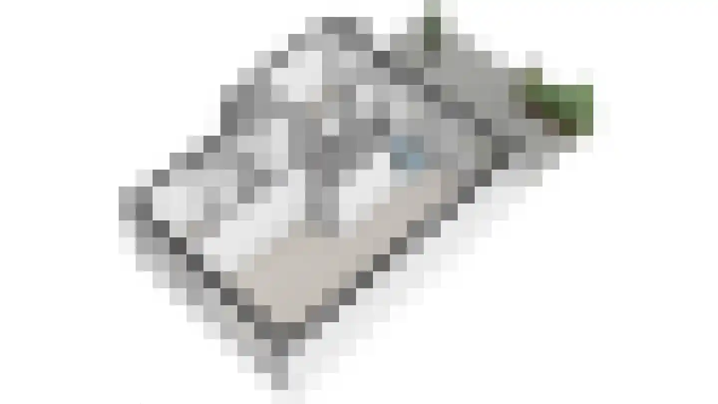 van Dijcklaan 29 Rijswijk thumbnail 43