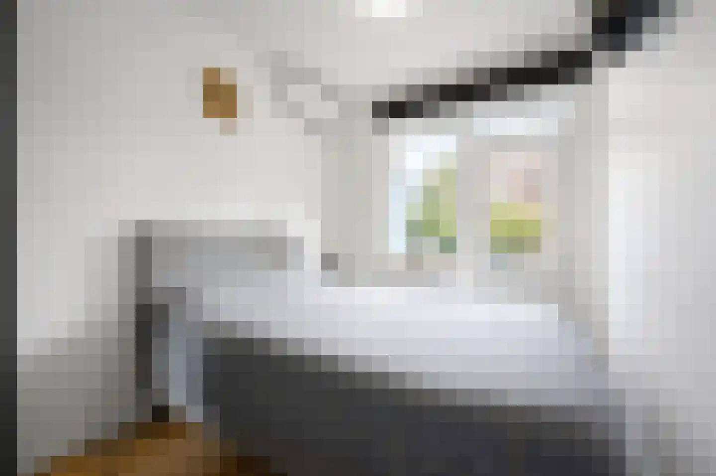 van Dijcklaan 29 Rijswijk thumbnail 5