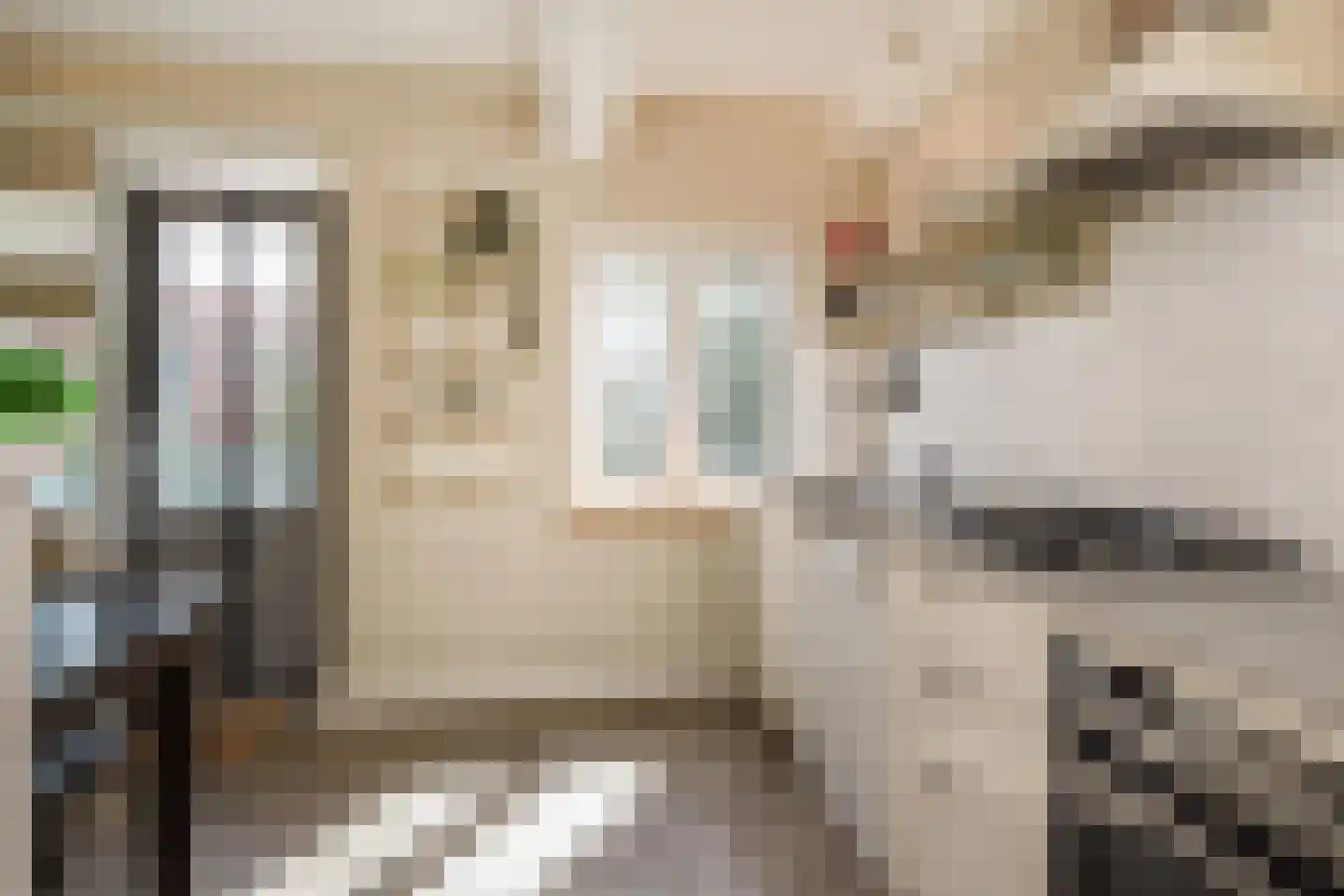 van Dijcklaan 41 Rijswijk thumbnail 12
