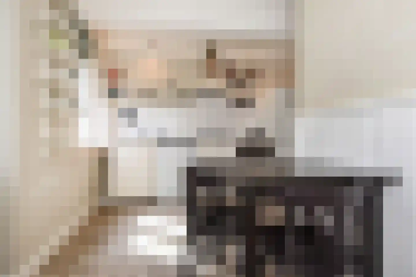 van Dijcklaan 41 Rijswijk thumbnail 16