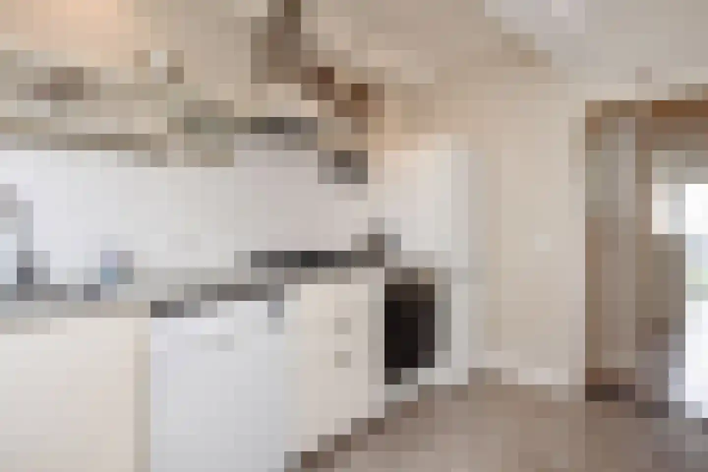 van Dijcklaan 41 Rijswijk thumbnail 17