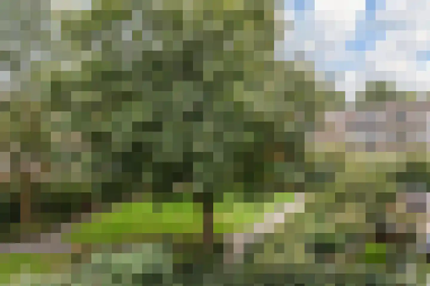 van Dijcklaan 41 Rijswijk thumbnail 18