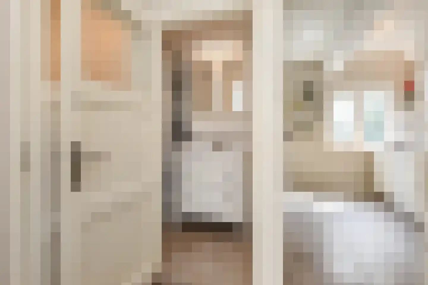van Dijcklaan 41 Rijswijk thumbnail 21
