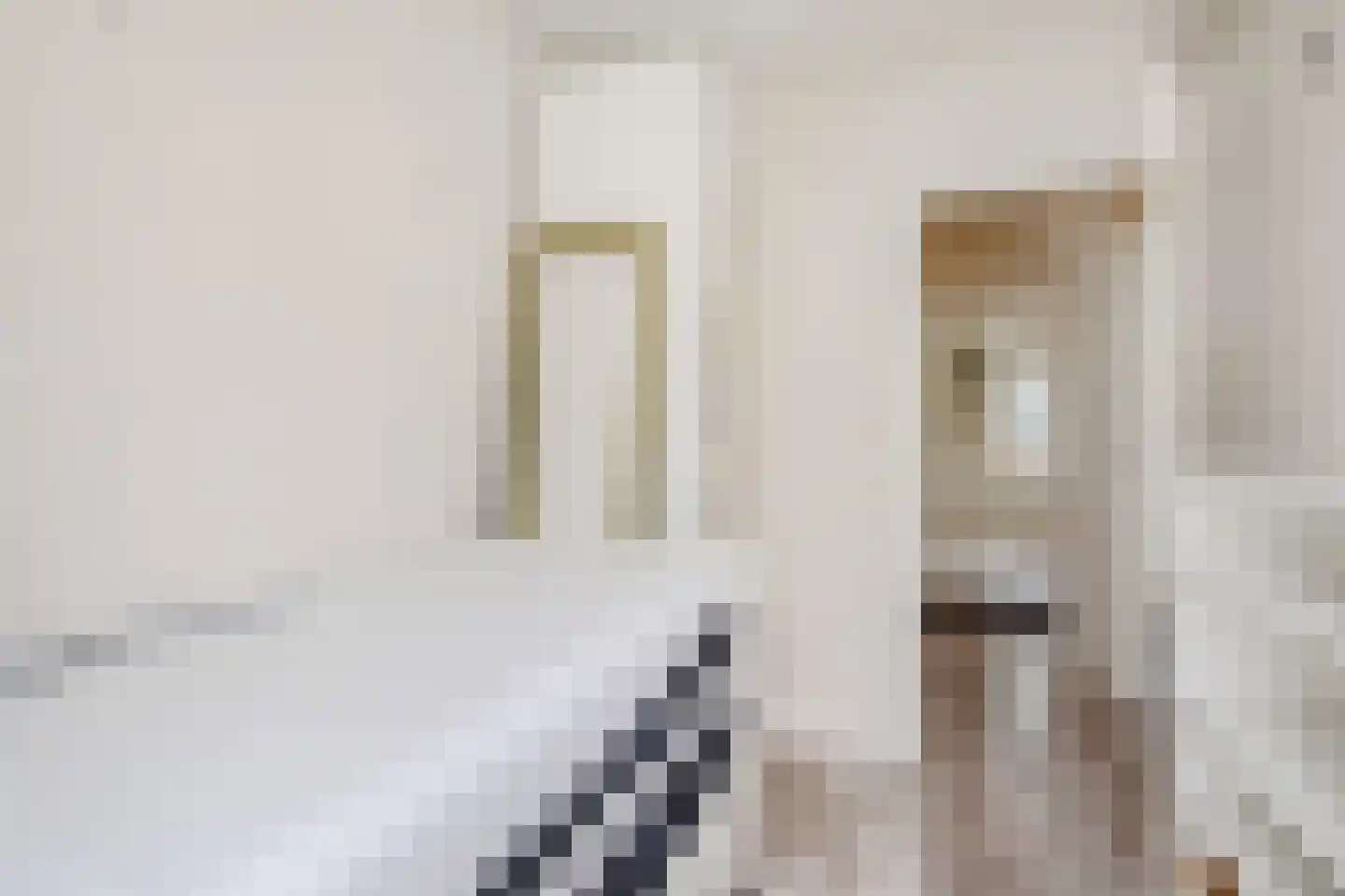 van Dijcklaan 41 Rijswijk thumbnail 27