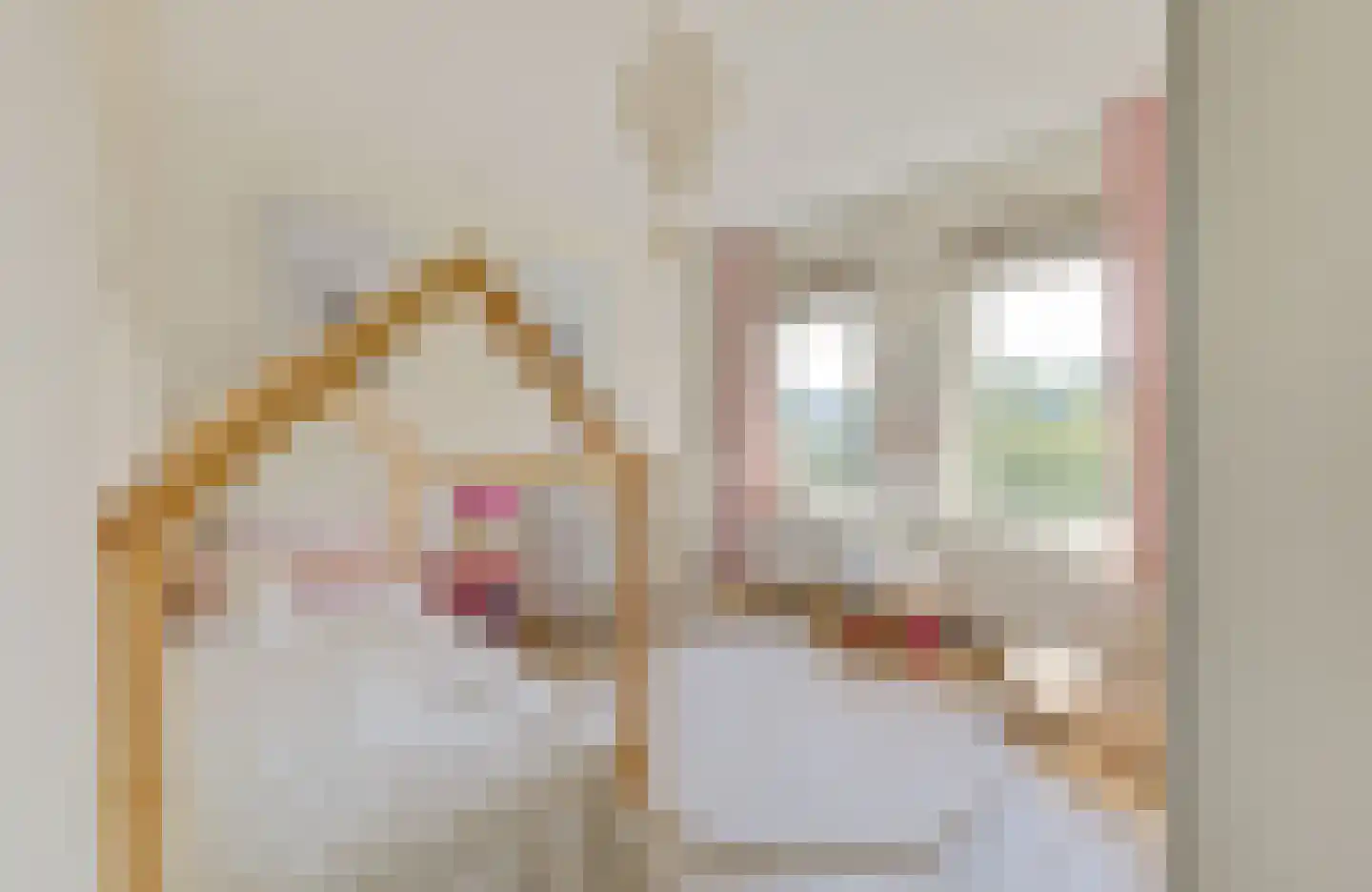 van Dijcklaan 6 Naarden thumbnail 22
