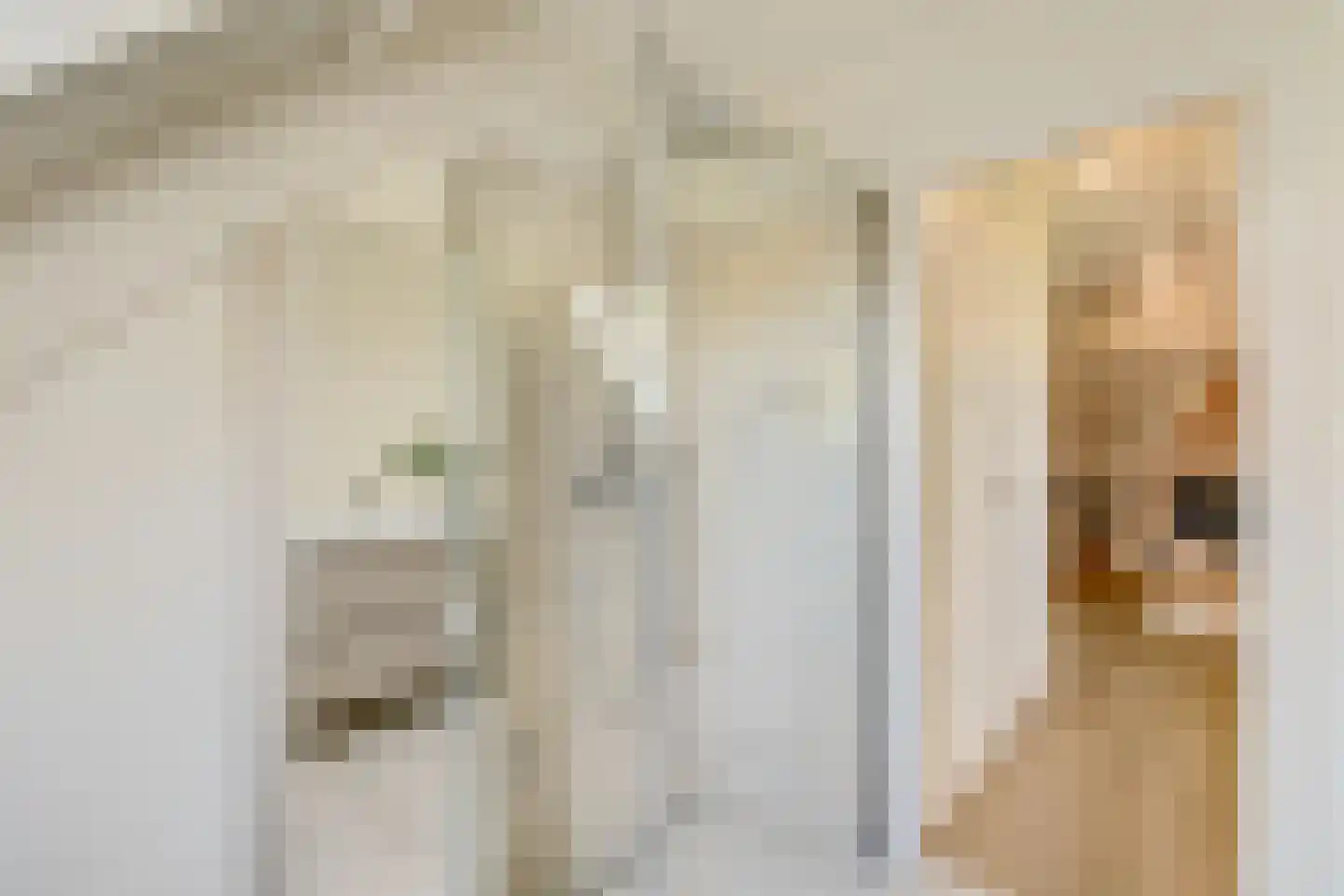 van Dijcklaan 6 Naarden thumbnail 36