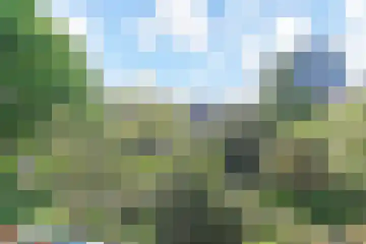 van Dijcklaan 75 Rijswijk thumbnail 18