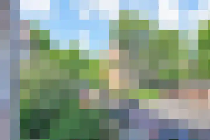 van Dijcklaan 75 Rijswijk thumbnail 19