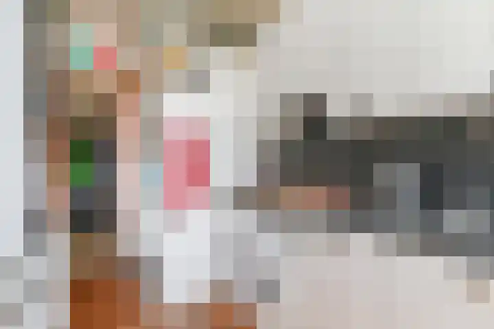 van Dijcklaan 75 Rijswijk thumbnail 20