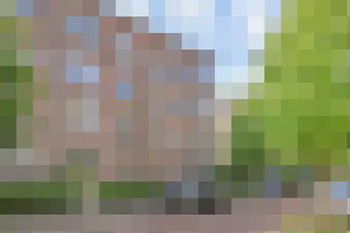 van Dijcklaan 75 Rijswijk thumbnail 31