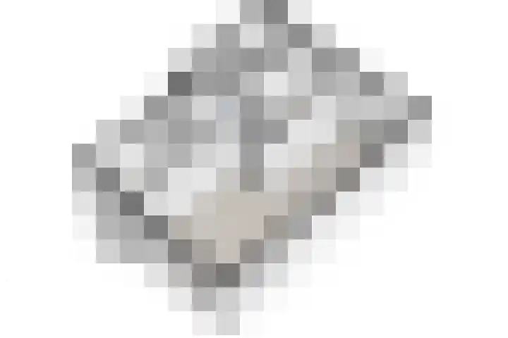 van Dijcklaan 75 Rijswijk thumbnail 35