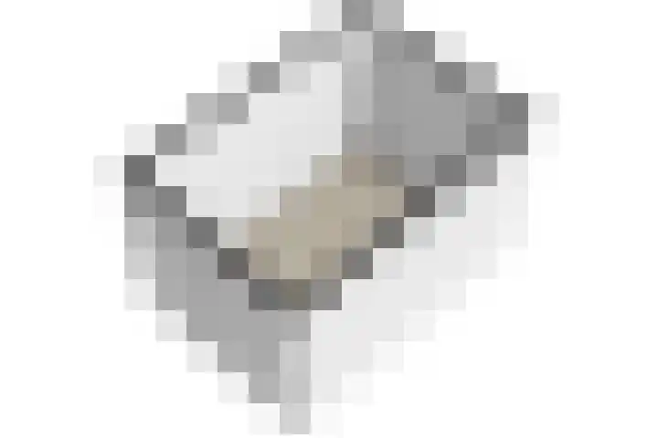 van Dijcklaan 75 Rijswijk thumbnail 36