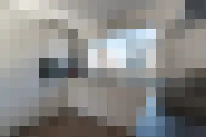 van Dijckstraat 1 Duiven thumbnail 16