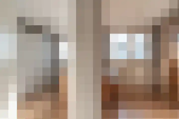 van Dijckstraat 1 Duiven thumbnail 25