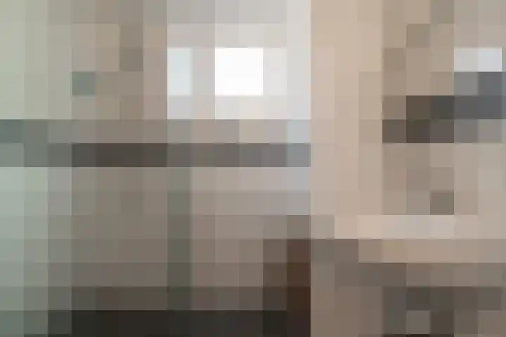 van Dijckstraat 1 Duiven thumbnail 28