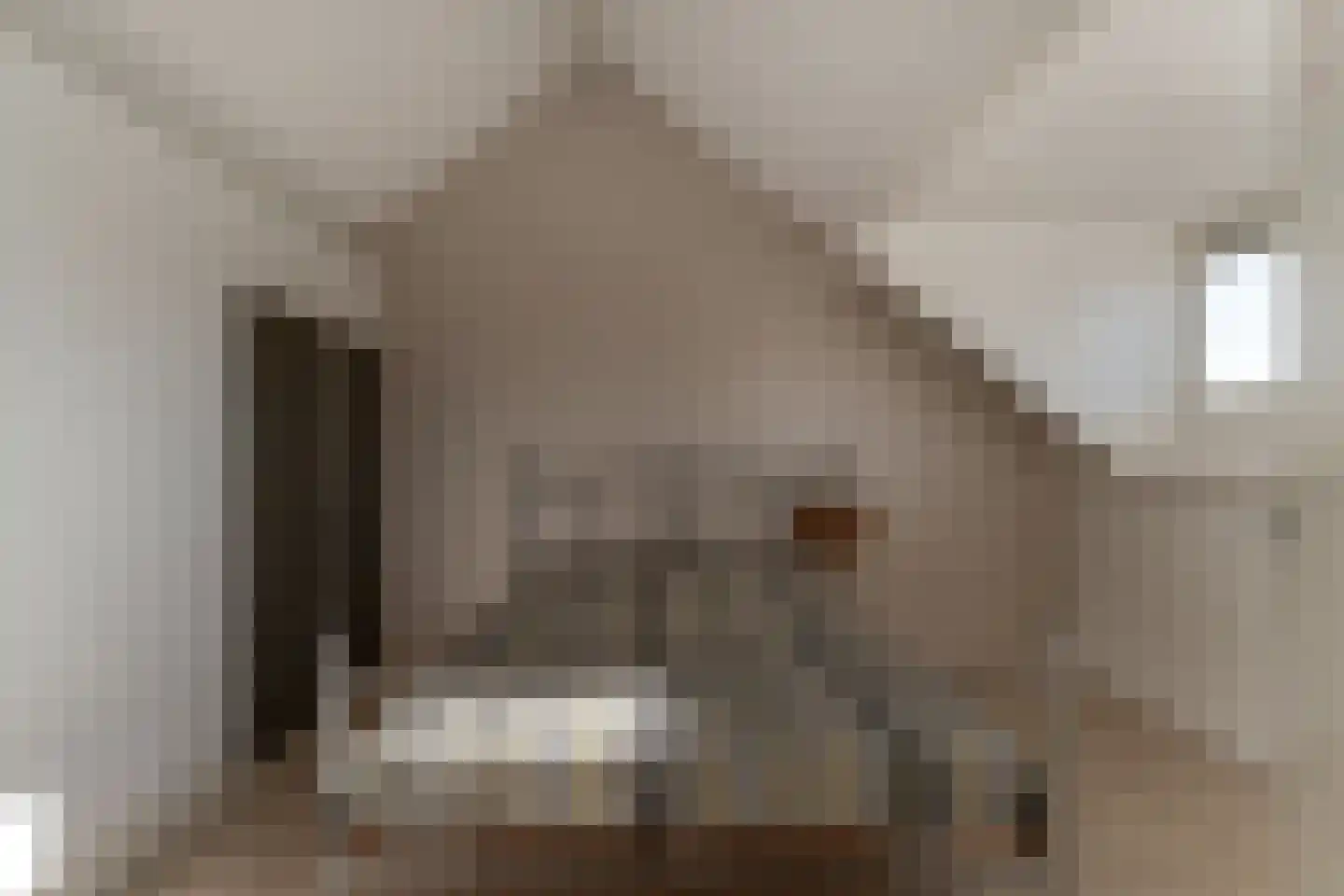 van Dijckstraat 1 Duiven thumbnail 33