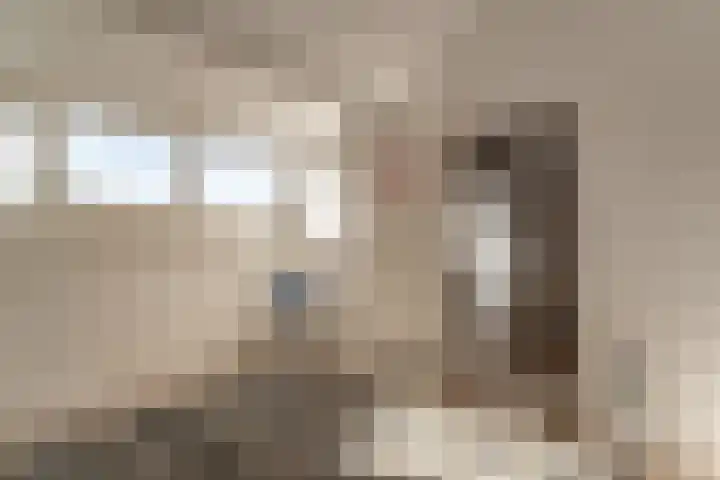 van Dijckstraat 1 Duiven thumbnail 35