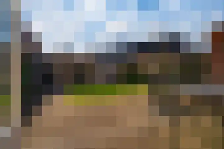 van Dijckstraat 1 Duiven thumbnail 36