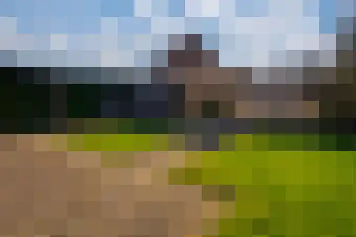 van Dijckstraat 1 Duiven thumbnail 38