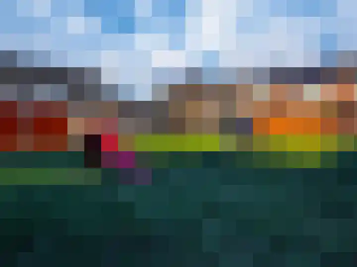 van Dijckstraat 1 Duiven thumbnail 42