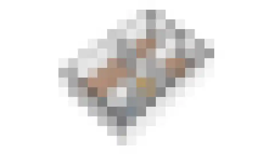 van Dijckstraat 1 Duiven thumbnail 48