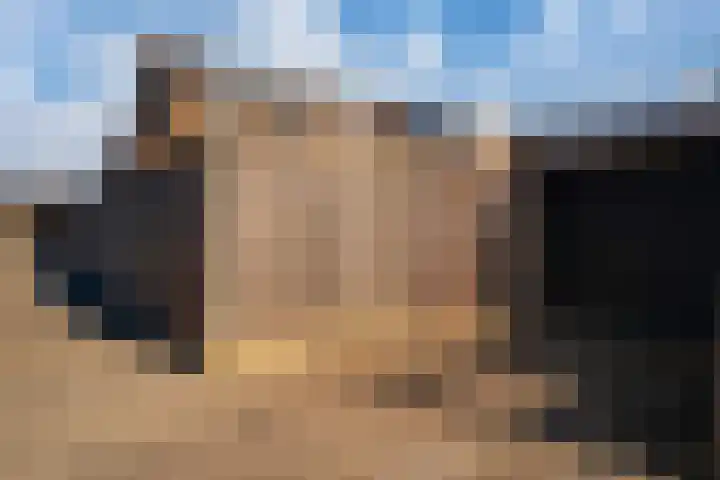 van Dijckstraat 1 Duiven thumbnail 6