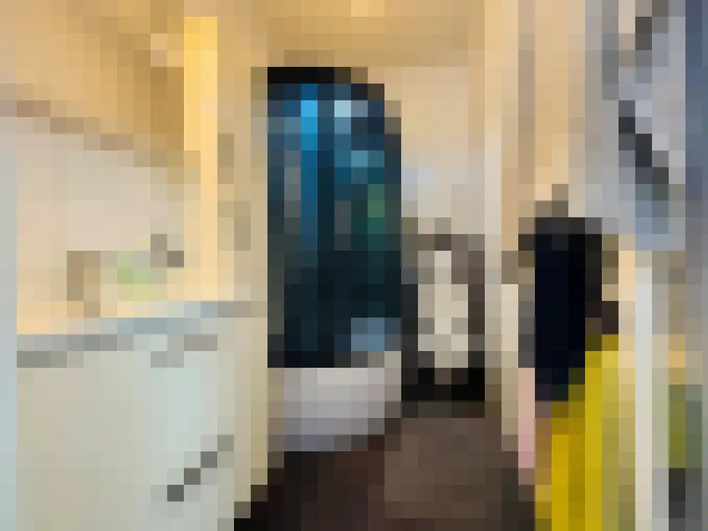 Van Dijckstraat 100 Den Haag thumbnail 14
