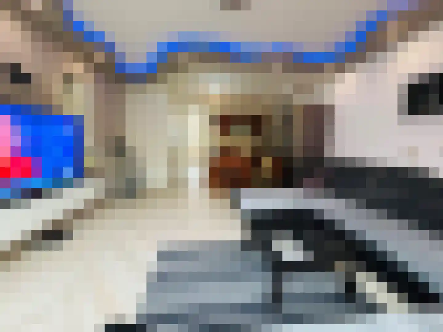 Van Dijckstraat 100 Den Haag thumbnail 8