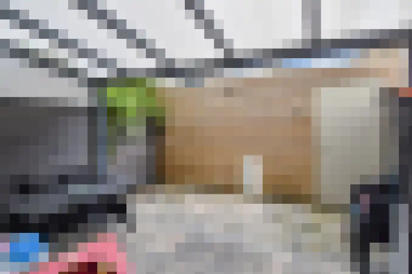 Van Dijckstraat 114 Den Haag thumbnail 17