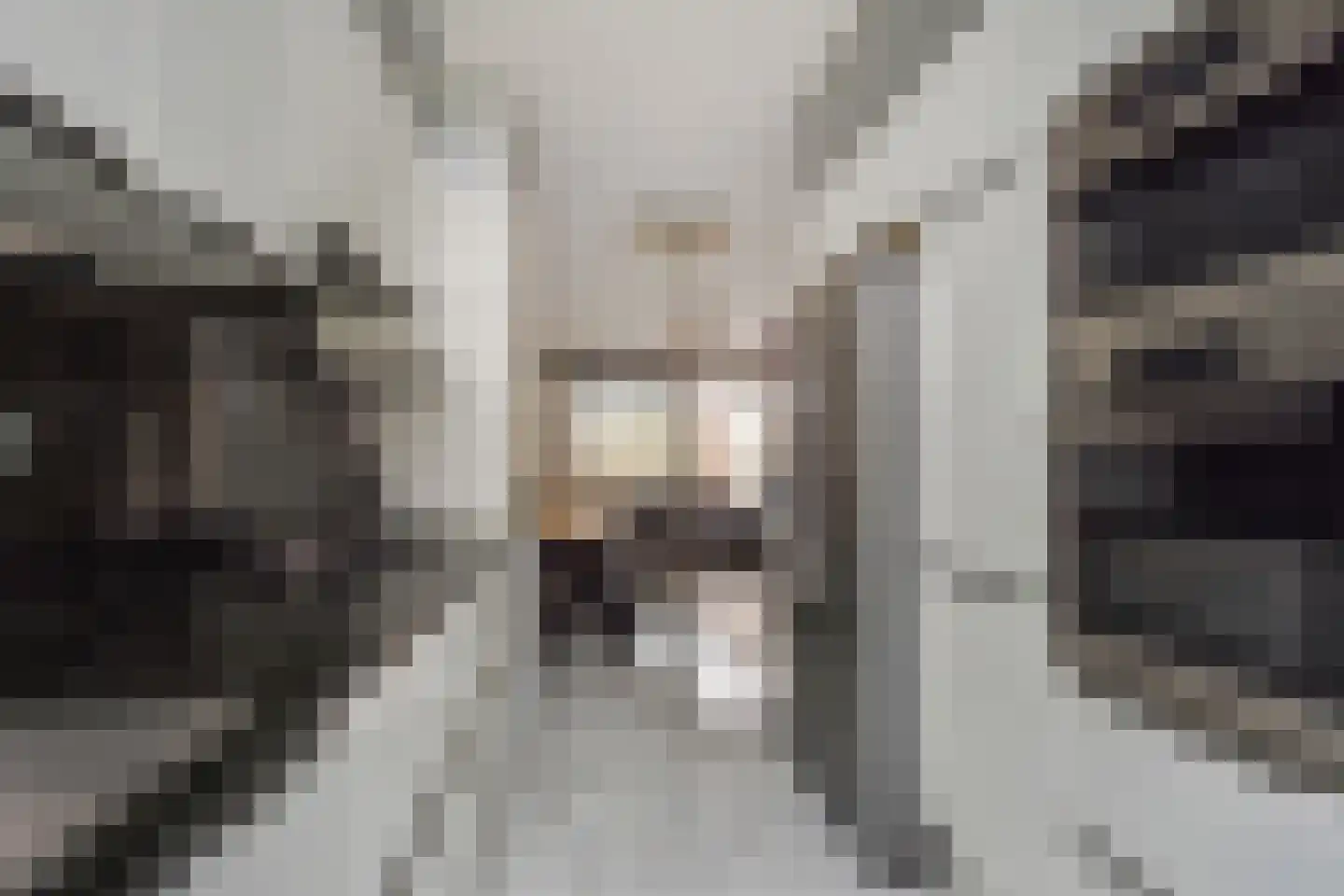Van Dijckstraat 114 Den Haag thumbnail 8