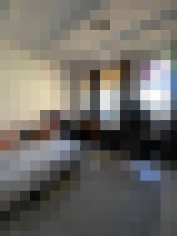 Van Dijckstraat 18 01 Tilburg thumbnail 5