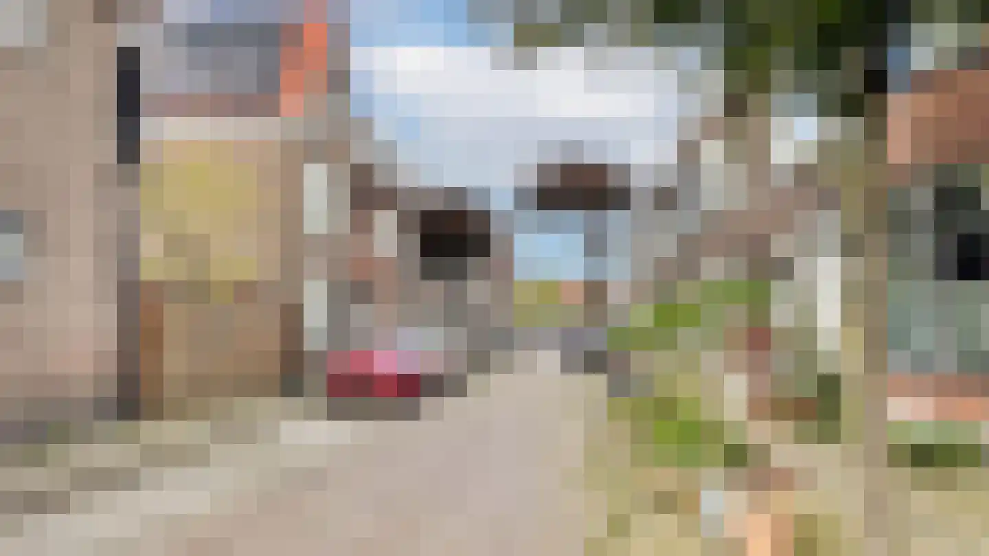 Van Dijckstraat 23 Schiedam thumbnail 37