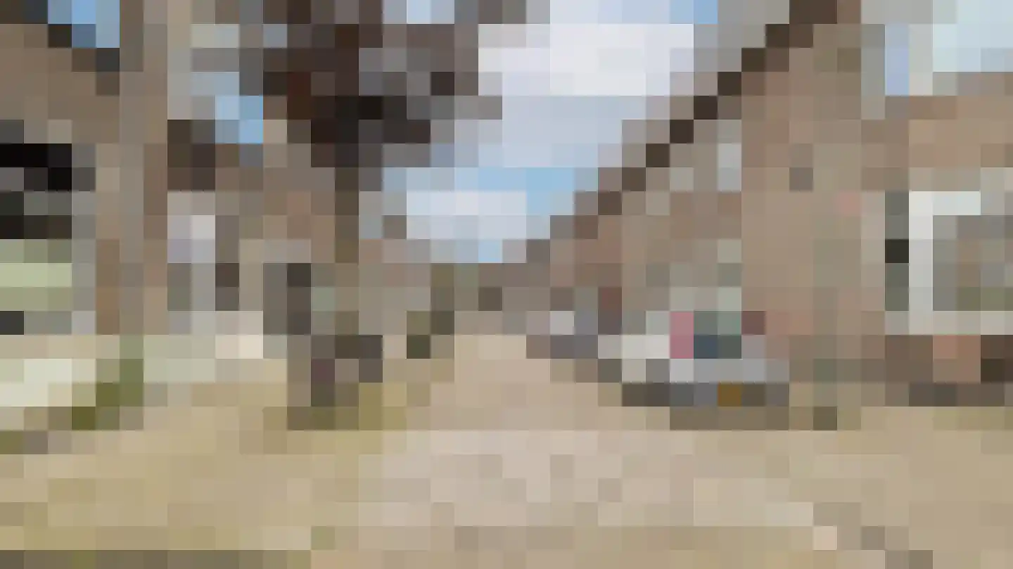 Van Dijckstraat 23 Schiedam thumbnail 5