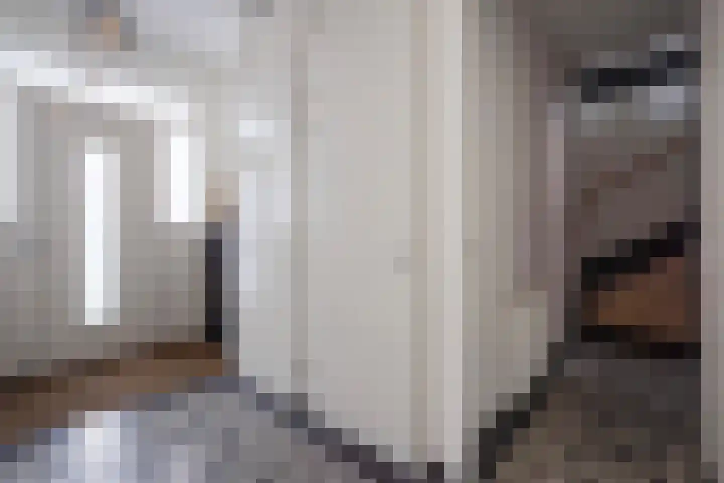 Van Dijckstraat 84 A Den Haag thumbnail 6