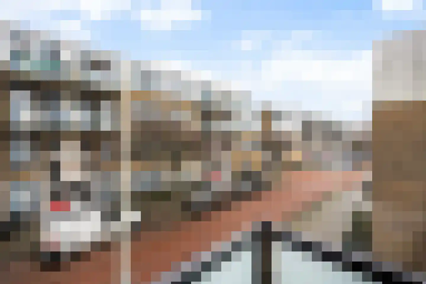 Van Dijckstraat 84 A Den Haag thumbnail 65