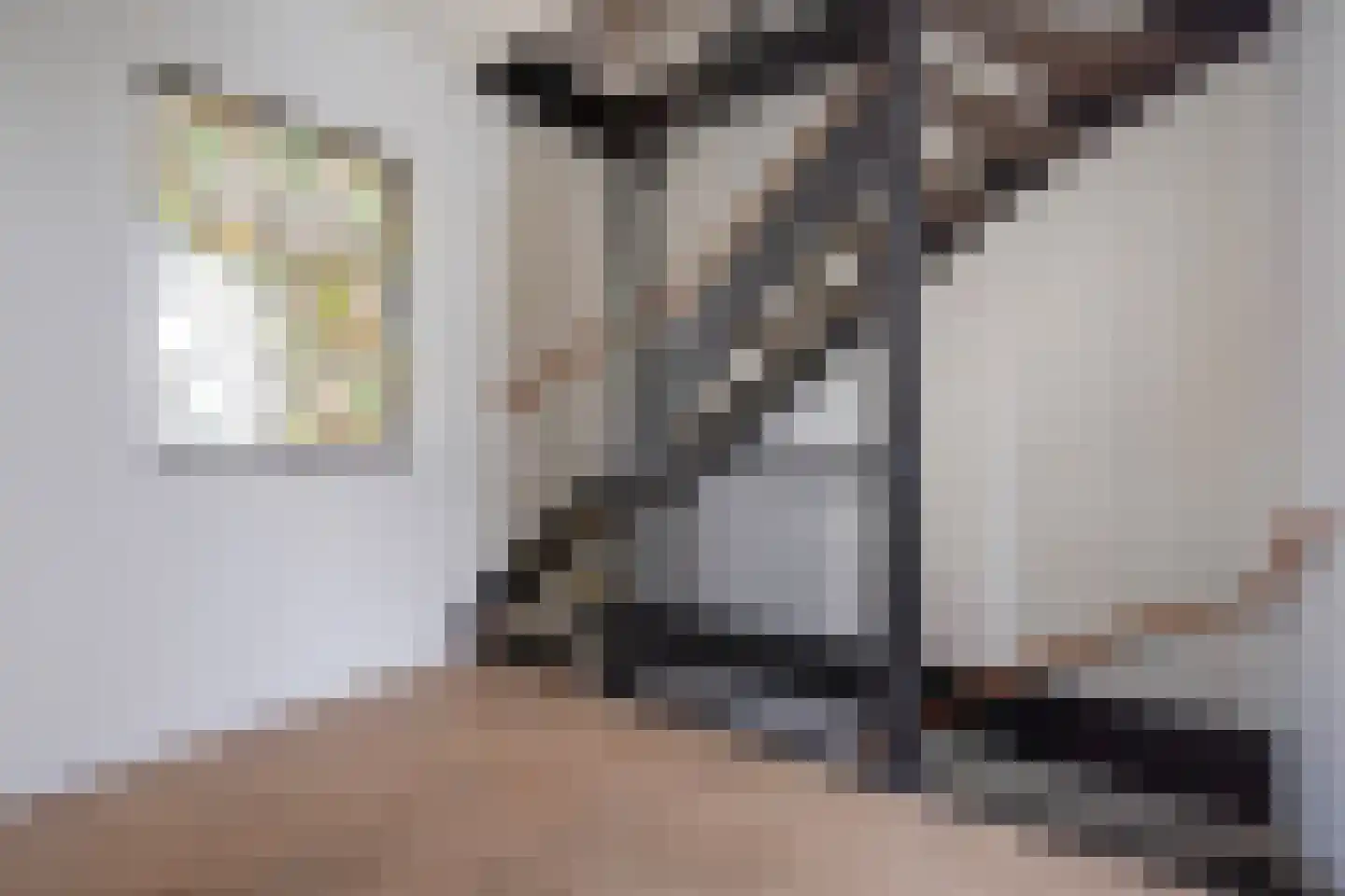 Van Dijckstraat 84 A Den Haag thumbnail 9
