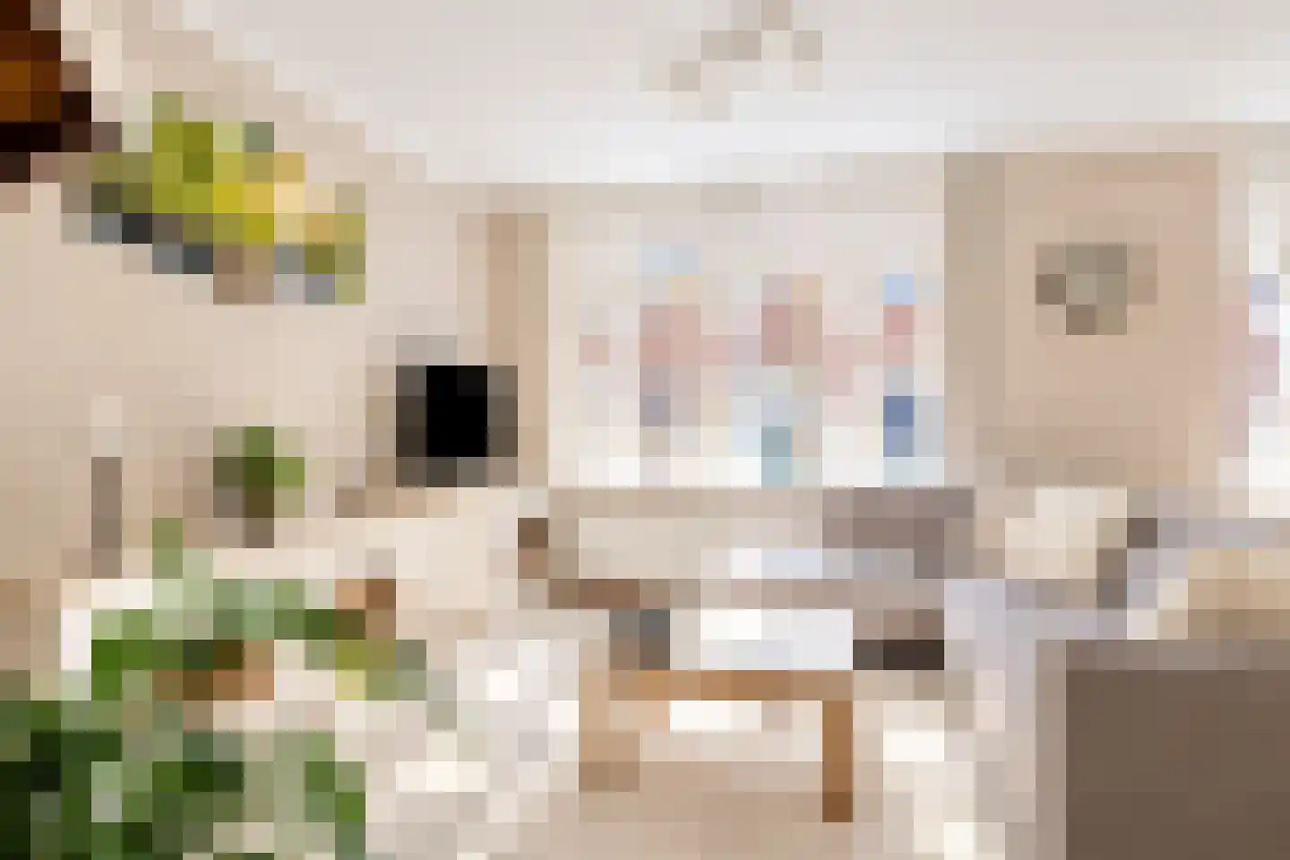Van Dijckstraat 9 Tilburg thumbnail 10