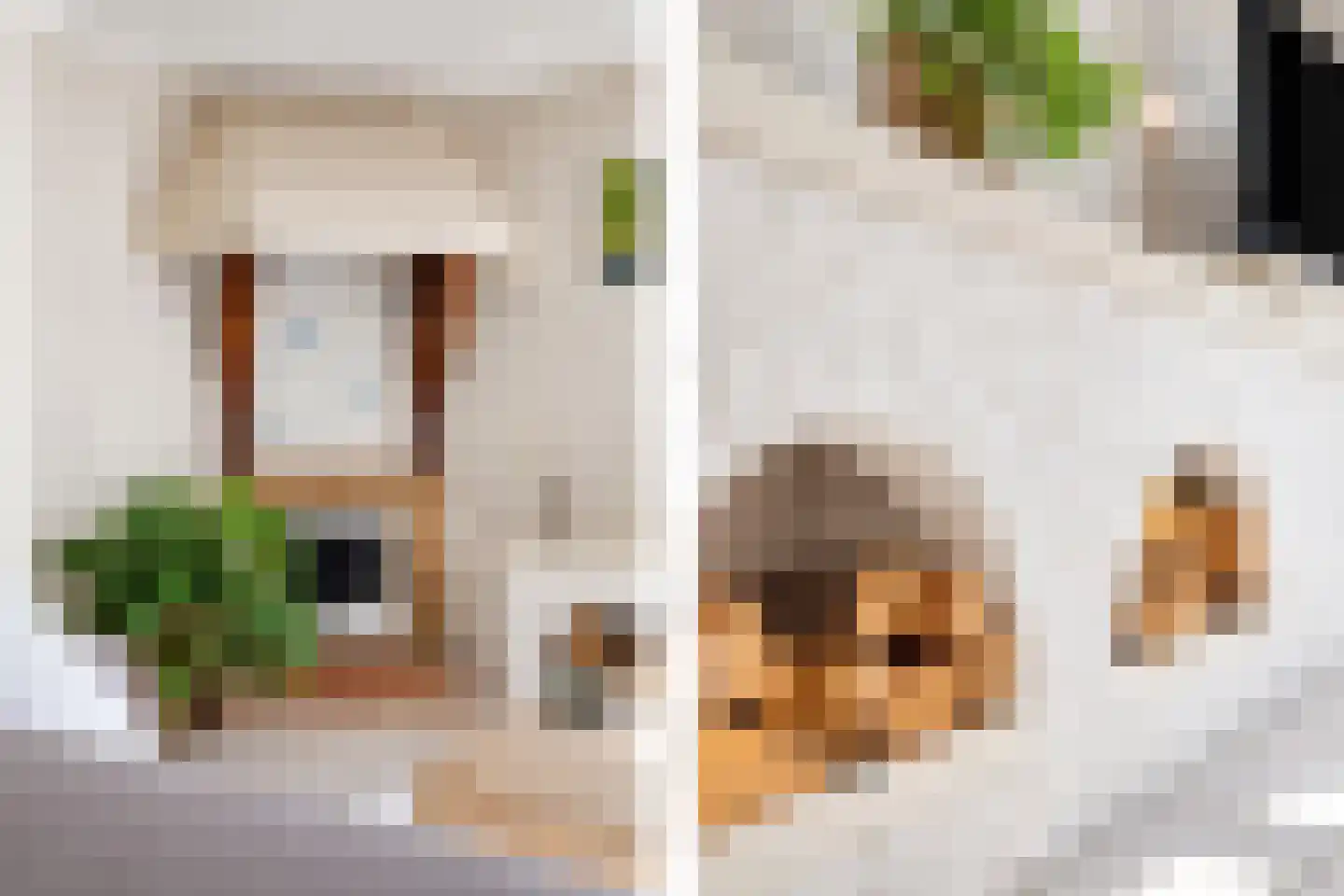 Van Dijckstraat 9 Tilburg thumbnail 11