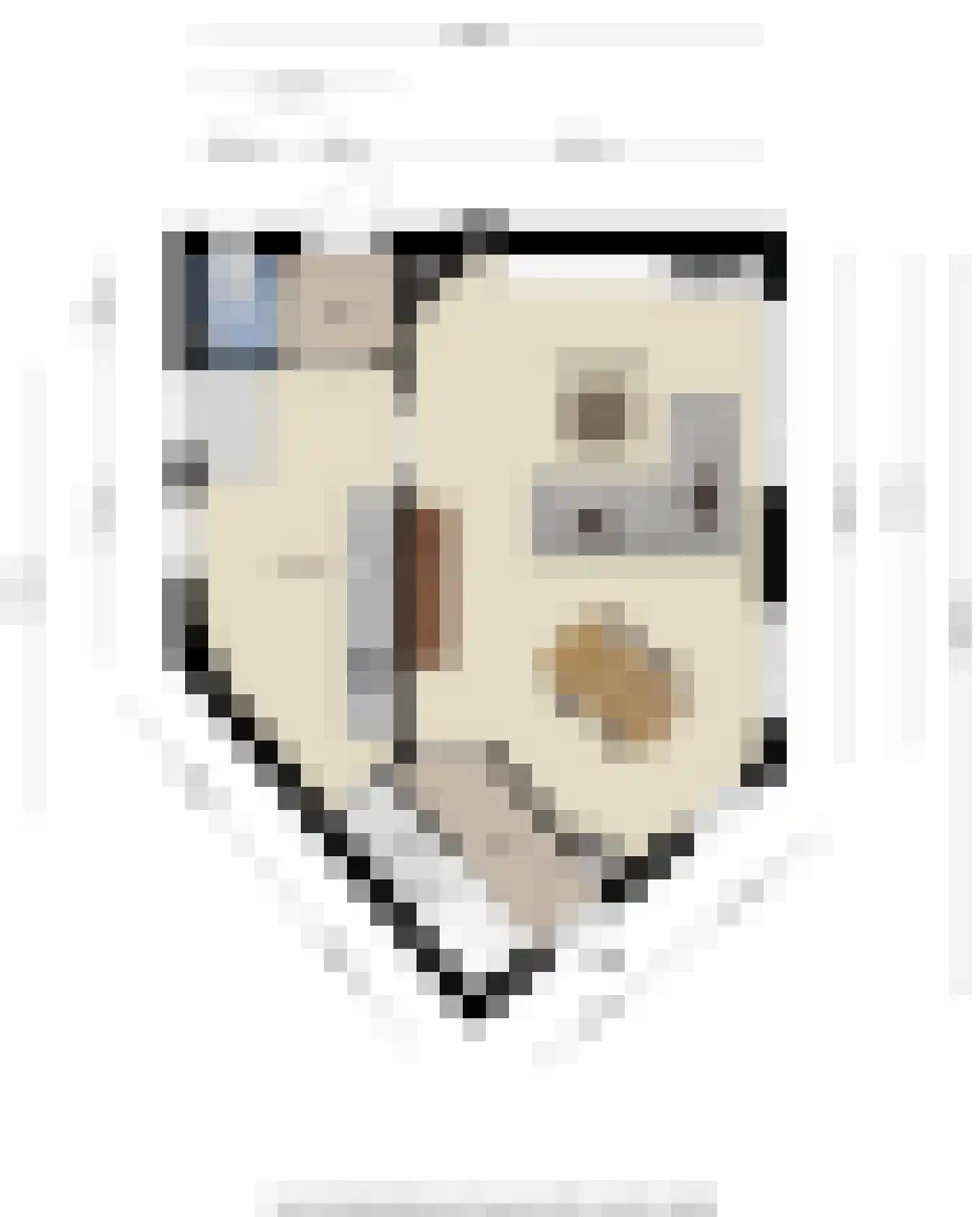Van Dijckstraat 9 Tilburg thumbnail 16