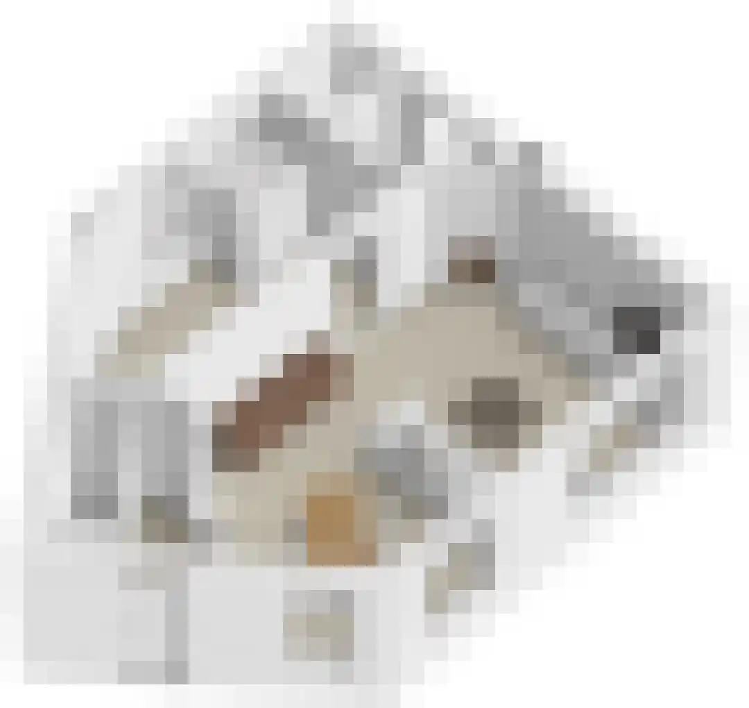 Van Dijckstraat 9 Tilburg thumbnail 17