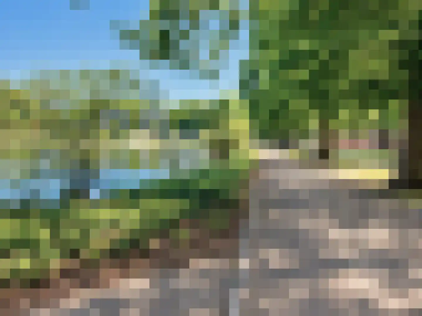Van Dijckstraat 9 Tilburg thumbnail 45